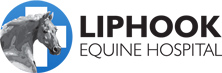 Liphook Equine Hospital
