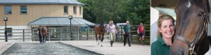 Liphook