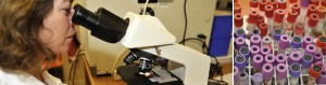 The Liphook Equine Hospital Laboratory
