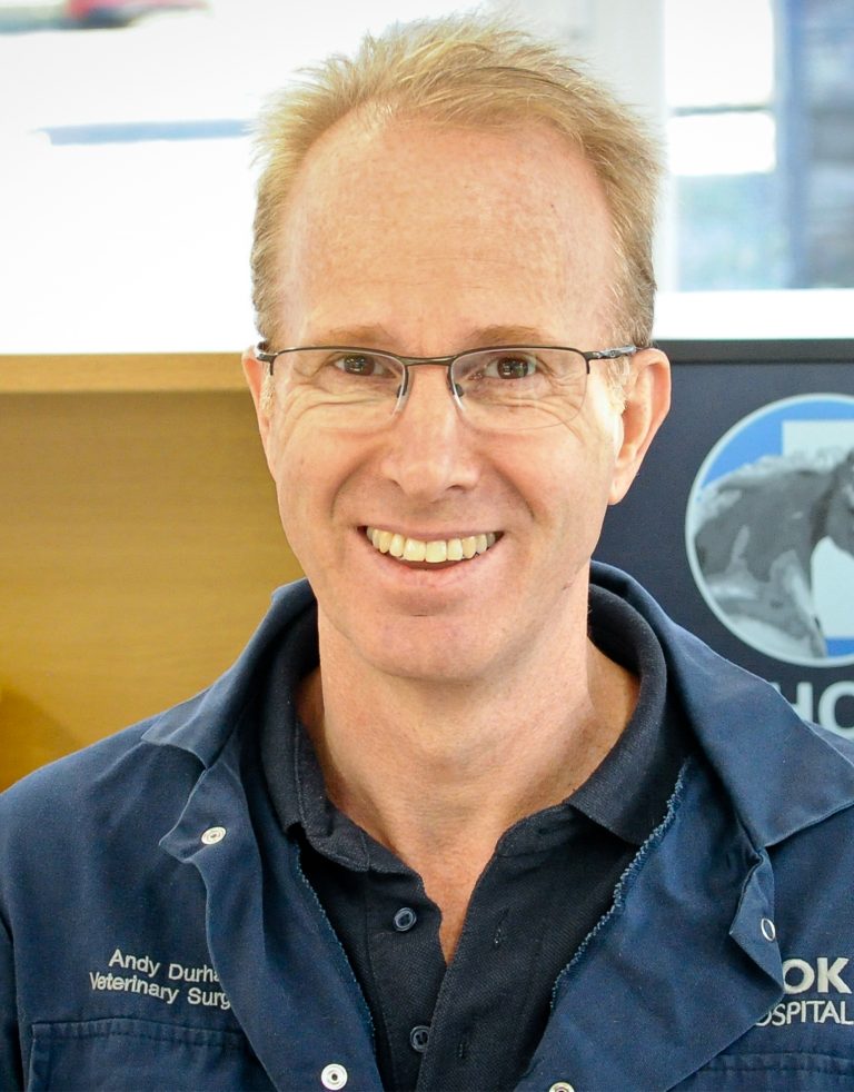 Professor Andy Durham Liphook Equine Hospital