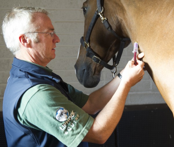 FREE CUSHING'S TESTS ARE BACK! Liphook Equine Hospital Ongoing
