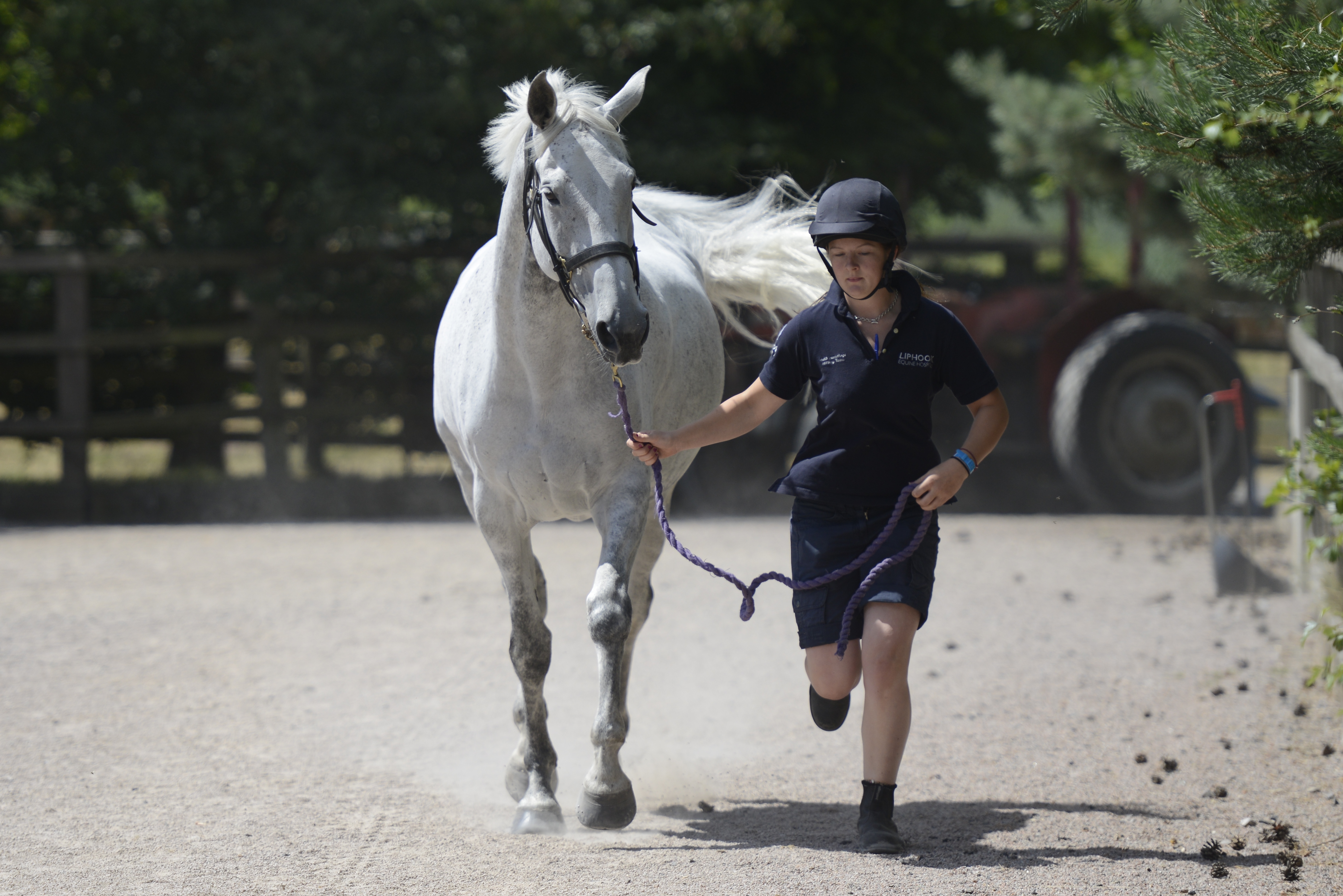 _DSC6321 Liphook Equine Hospital