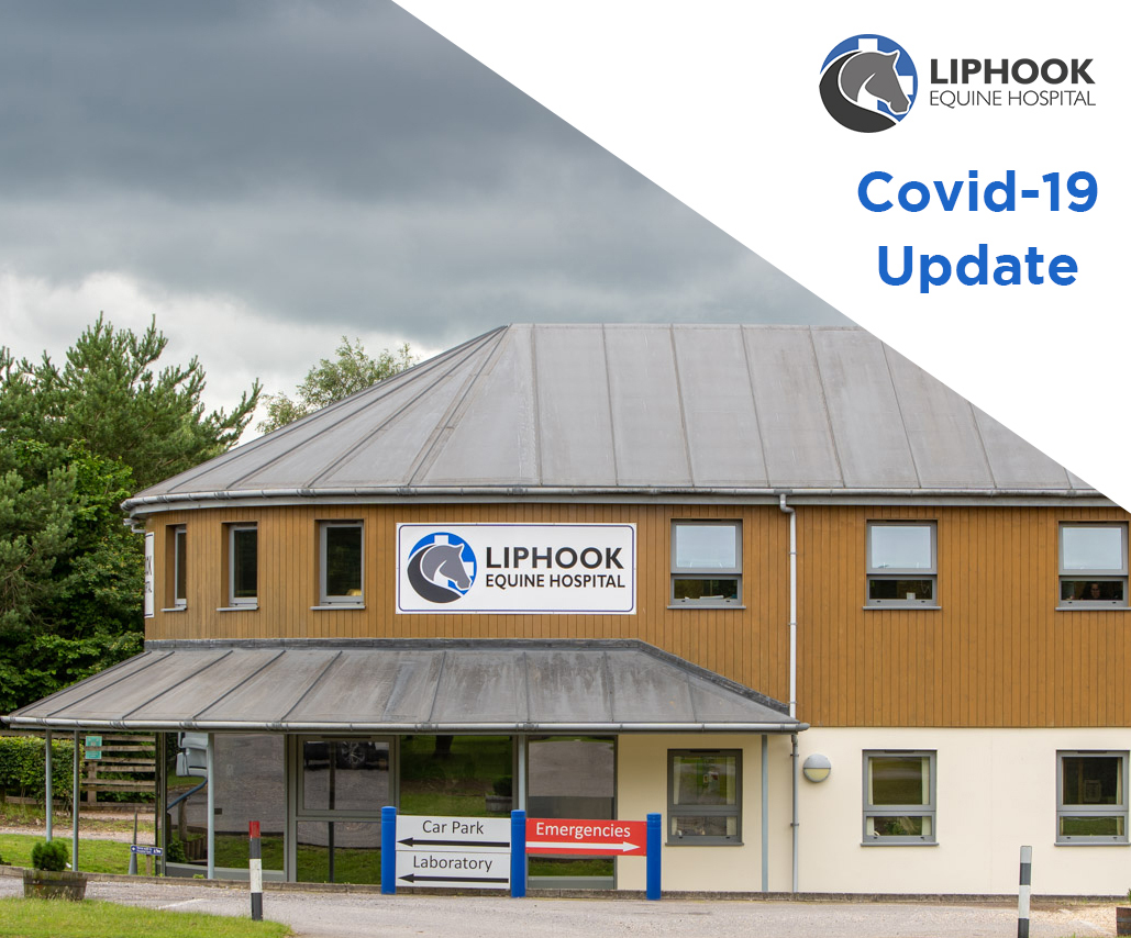 News Liphook Equine Hospital Ongoing Excellence