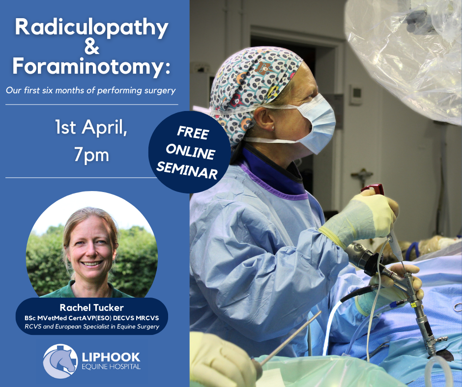 Missed our last referring vet CPD event?