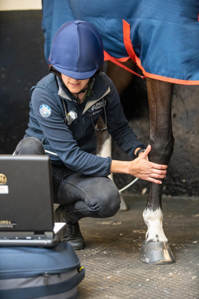Liphook Equine Hospital (HQ Print)-108196