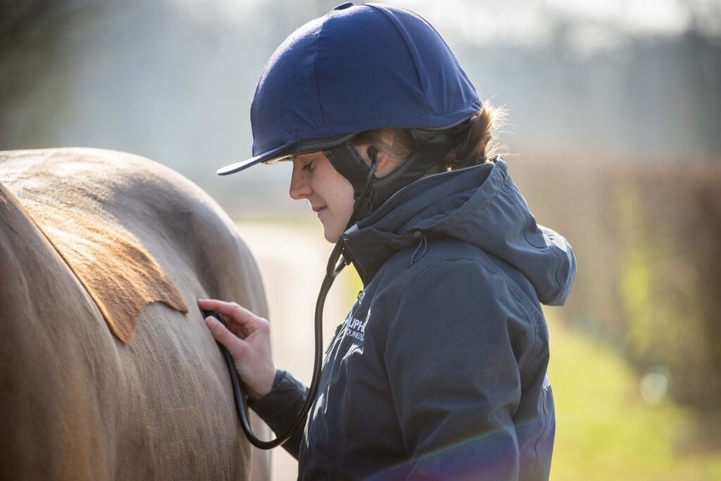 Vet Partners - Liphook and Sound Equine
