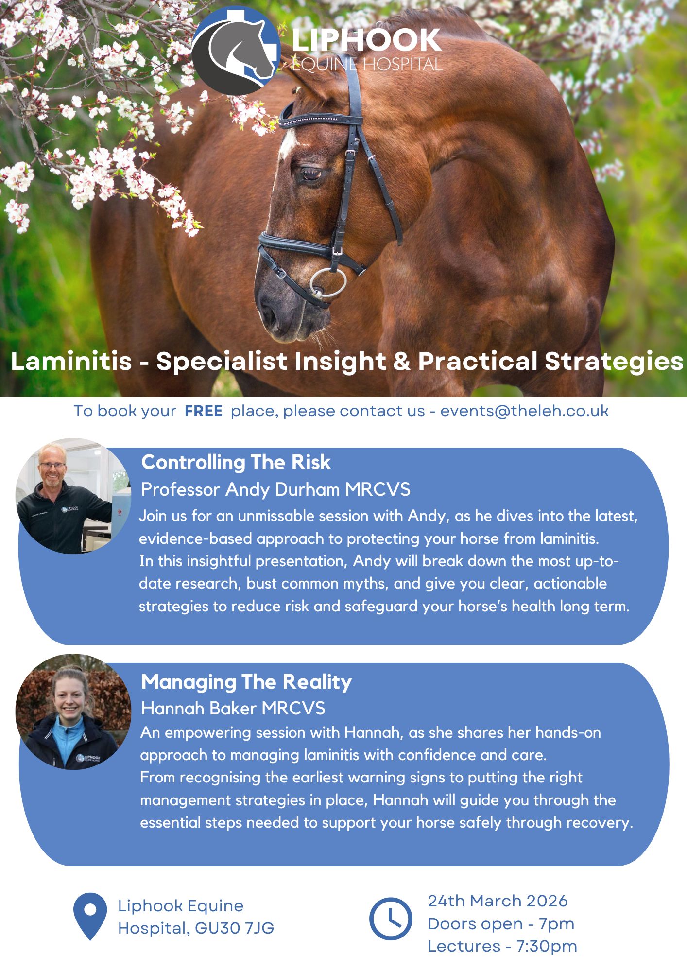 Laminitis – Specialist Insight & Practical Strategies